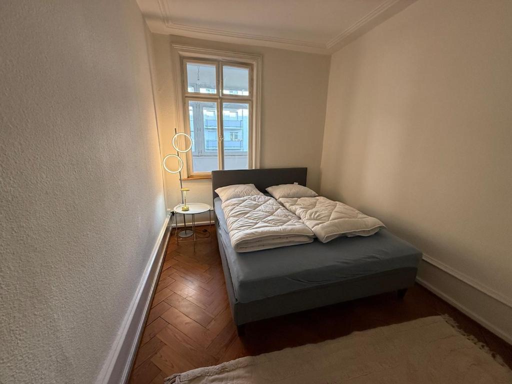 Chill and Tranquil in St Johann near Novartis Campus - Resim 6