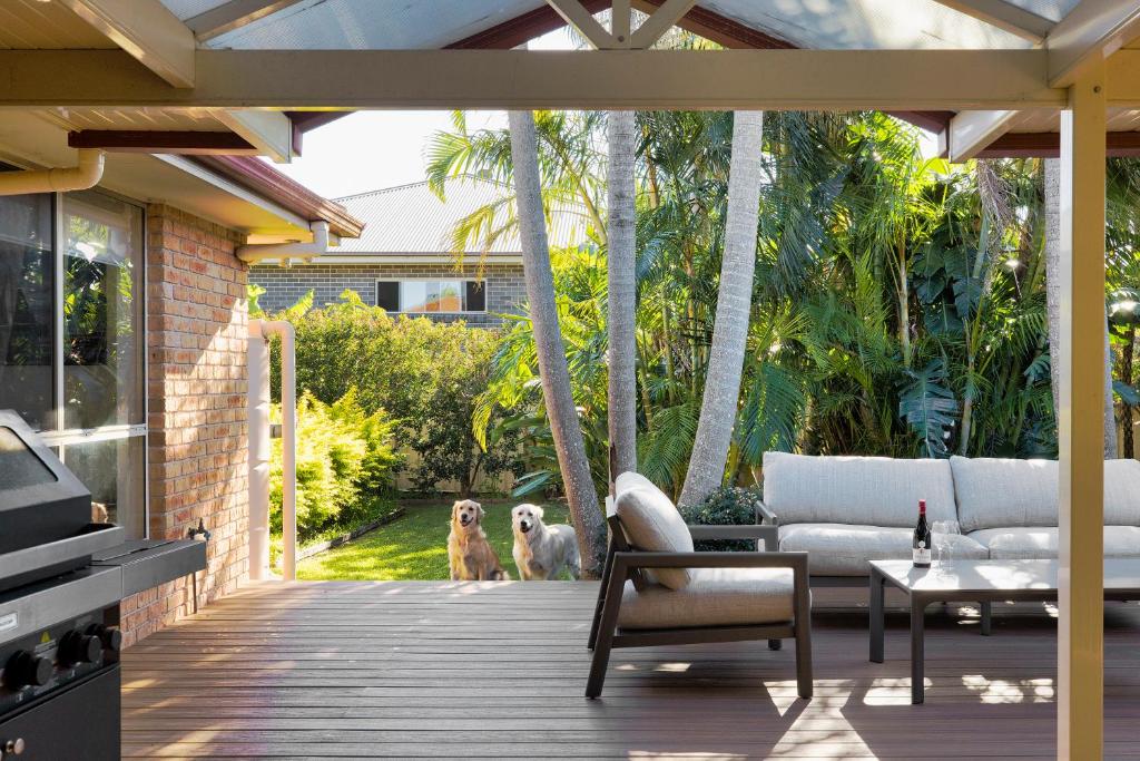 Zahrada ubytování Pawprints