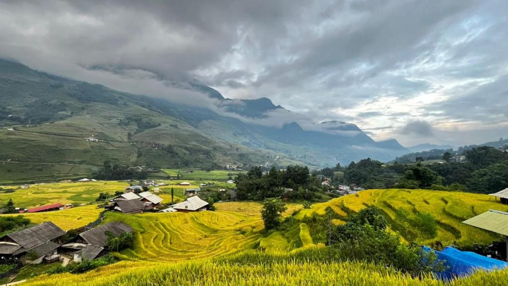 Madame View Homestay - 2