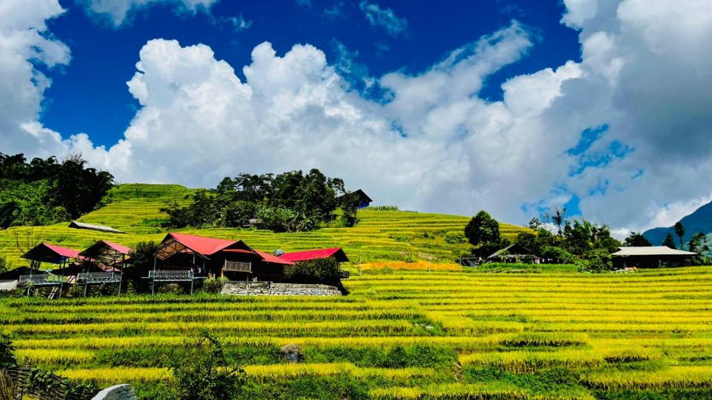 Madame View Homestay - 7