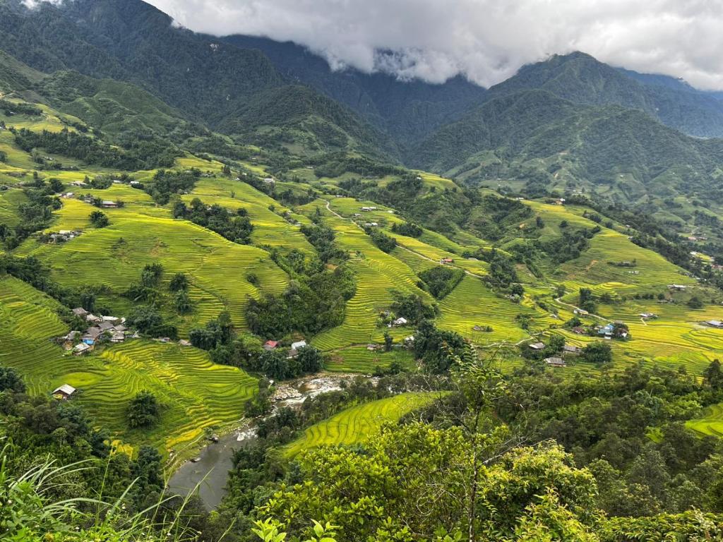 Madame View Homestay - 8