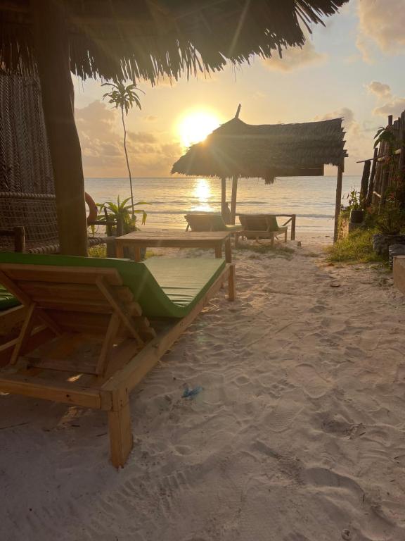 a beach with chairs and a umbrella and the ocean at Zanzibar beach escape 1&2 in Bwejuu