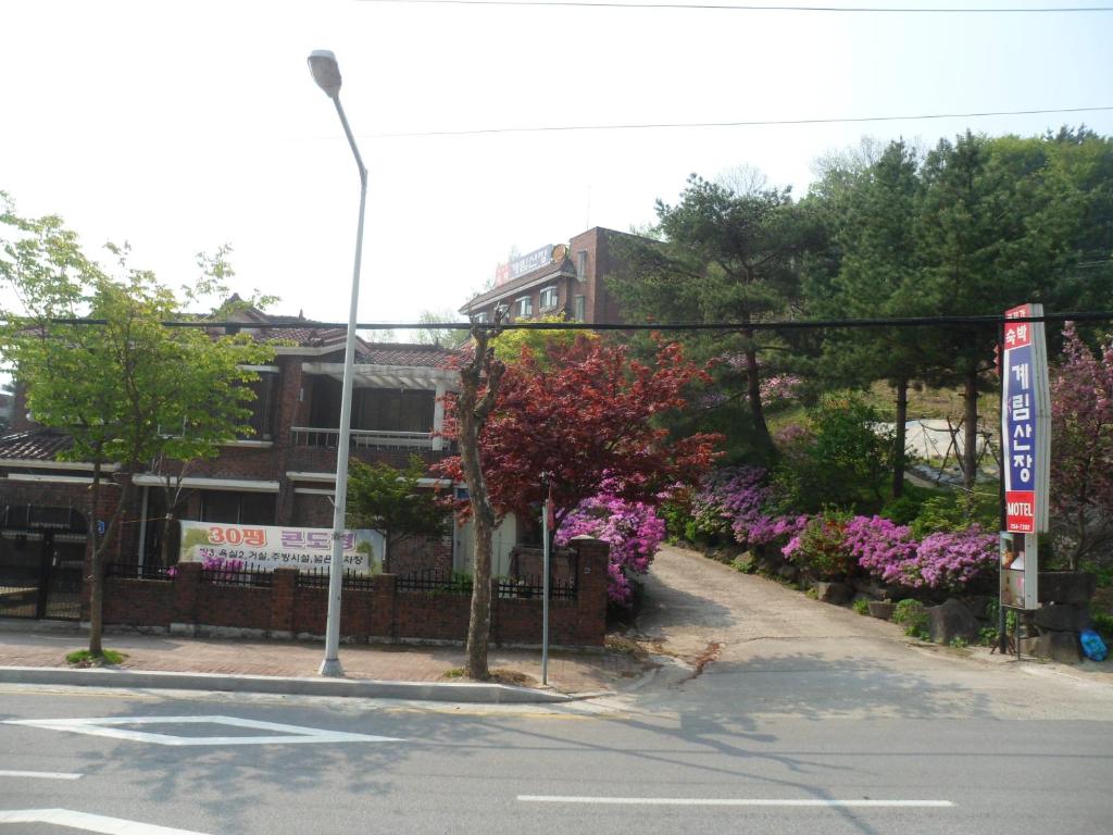 an empty street with flowers on the side of a building at Gyerim Motel in Chuncheon