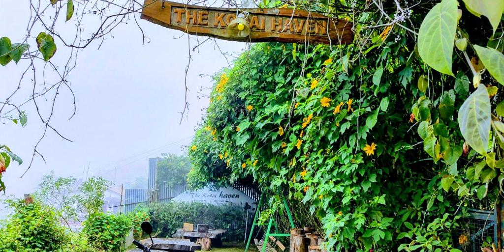 En have udenfor The Kodai Heaven