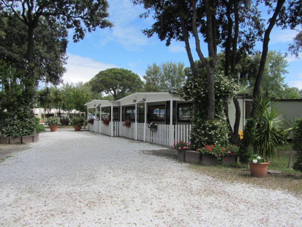 Zahrada ubytování Camping Pineta