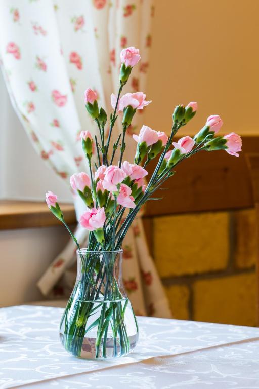 Villa Cynamon Jacuzzi & Sauna - 18