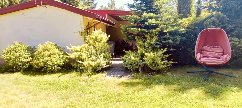 Κήπος έξω από το Domek Leniskowy nad jeziorem Głuszyńskim