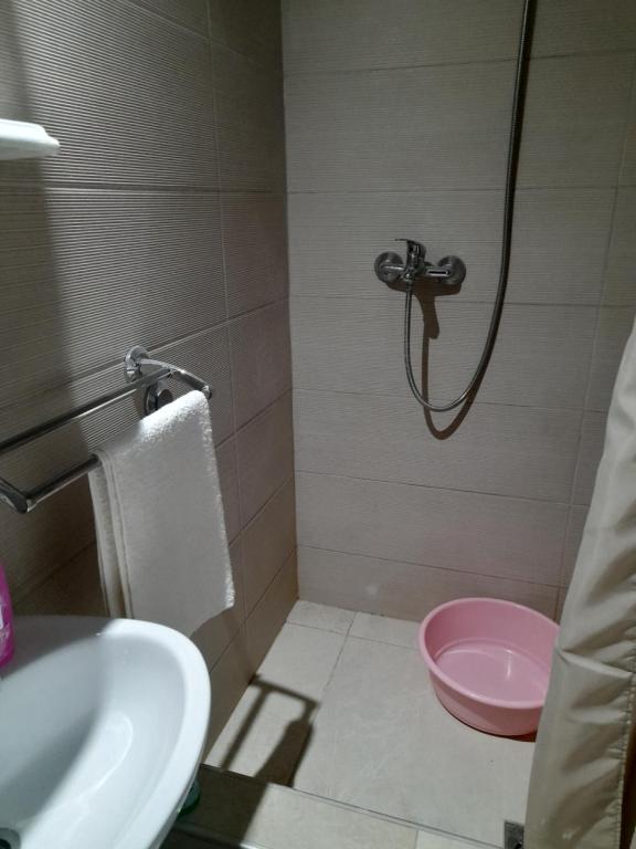 een badkamer met douche en roze toilet bij Vila Verica M in Kravlja