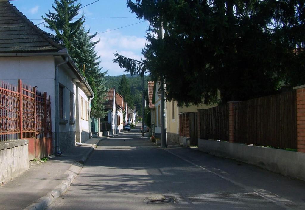 Okolí penzionu