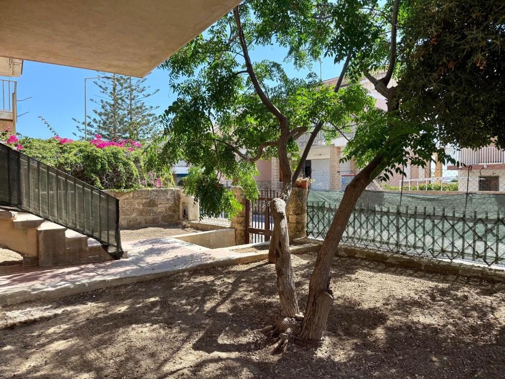 Zahrada ubytování Casa Bellini - Cava D'Aliga