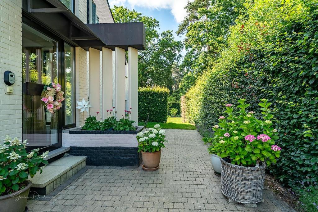Zahrada ubytování Guest house Huize De Wit
