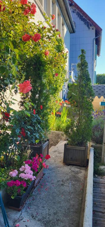 un giardino con fiori e piante in vasi di La maison horlogère , sauna extérieur , bain nordique au feu de bois et prêt de raquettes des neiges a Les Fontenelles