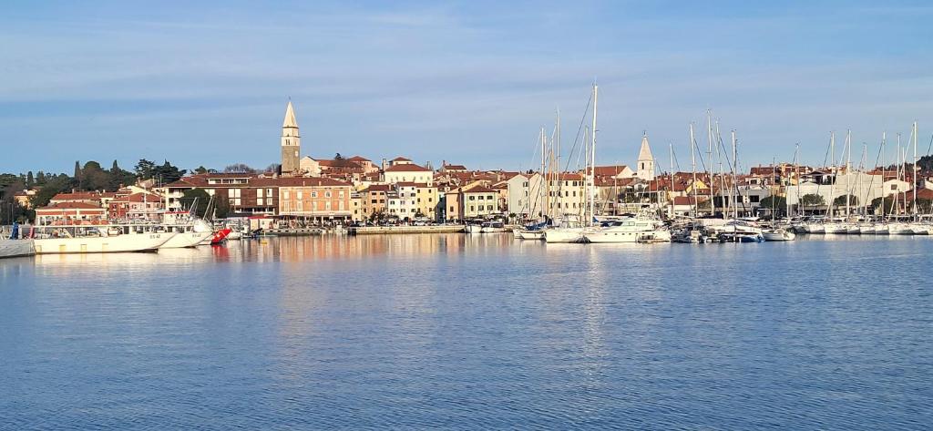 a group of boats in a harbor with a city at Apartmaji Tim in Izola