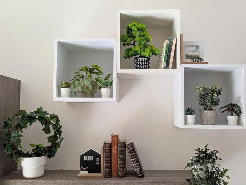 a room with white shelves with plants and books at Sambucisco Airport Stay in San Giovanni Teatino