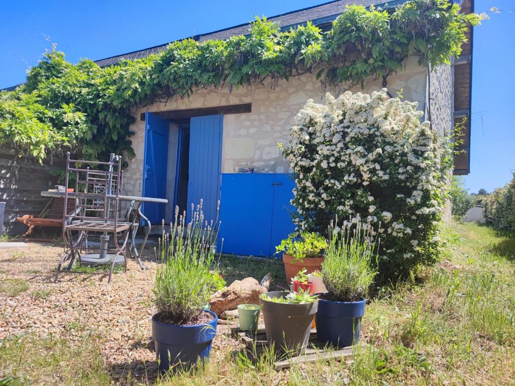 une petite maison avec des plantes devant elle dans l'établissement Le petit pré écolo, à Longué