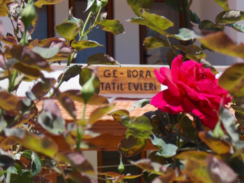 ein Schild mit der Aufschrift „Koya Kritis Ofen holen“ in der Unterkunft Gebora Suits & Tatil Evleri in Palamutbükü