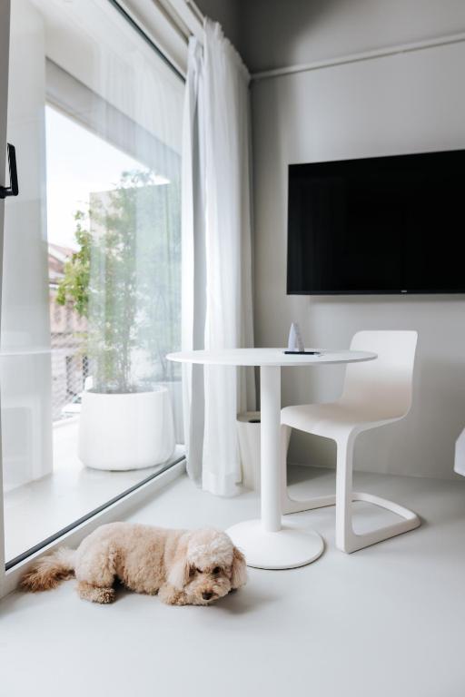 Stellar Boutique Modules by Maistra City Vibes - 14