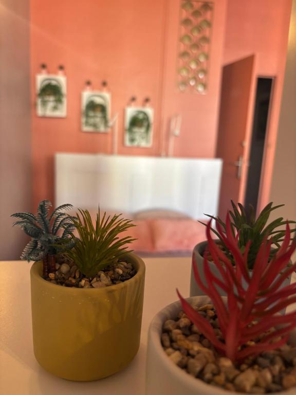 Φωτογραφία από το άλμπουμ του Appartement de l'îlot des Chaudronniers στο Μπεζιέ