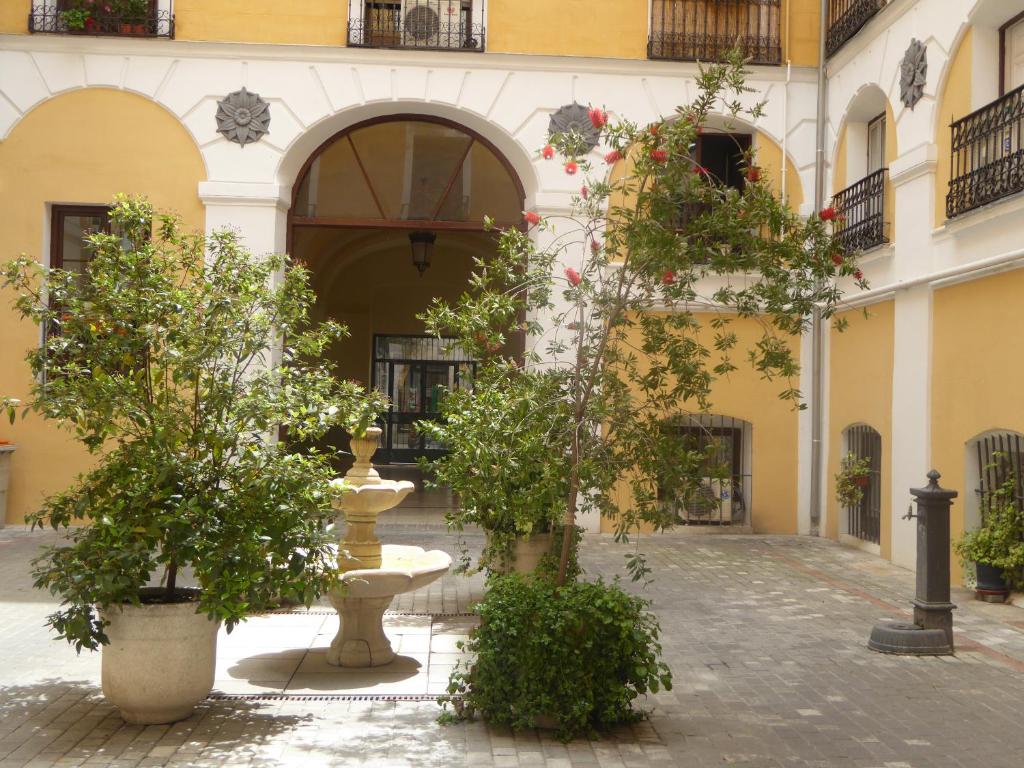 a courtyard with potted trees and a building at Hostal Huespedes Toledo in Madrid