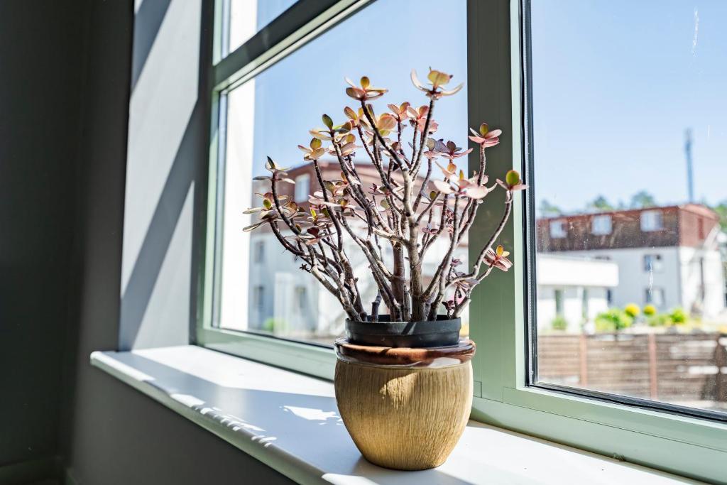 Hotel Sobieszewo - Resim 27