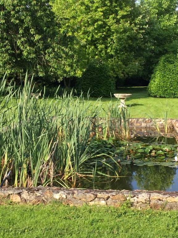 a pond with a birdbath in the middle of a yard at Maison In Normandie in Saint-Pierre-la-Garenne