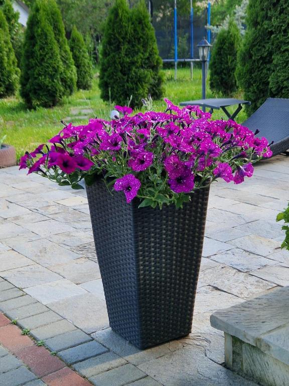 a black basket filled with purple flowers on a patio at Premier House in Târgu Ocna