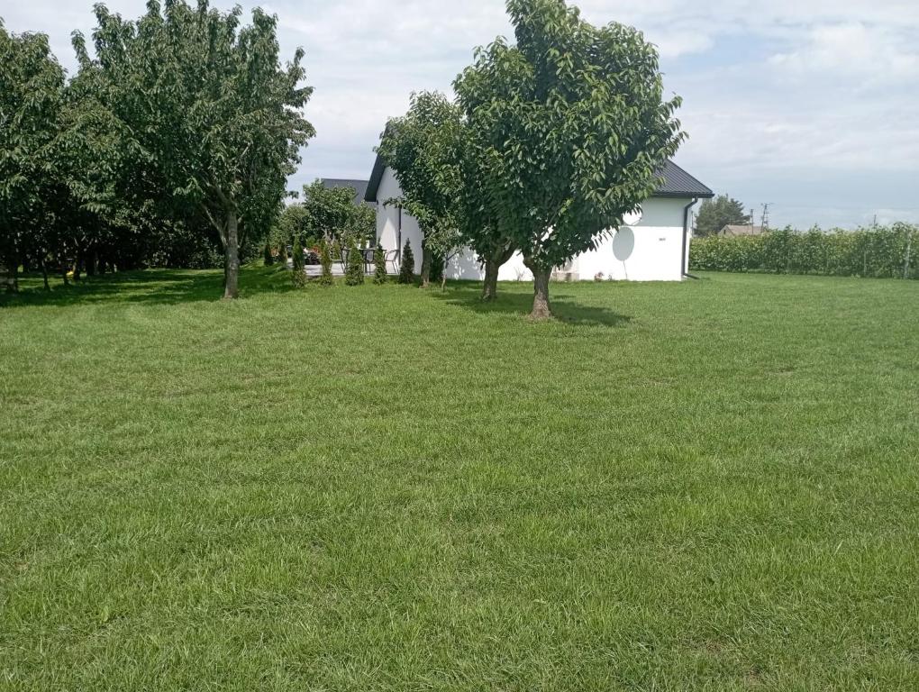 a white house in a field of grass with trees at Domki w Winnicy - Świętokrzyska Winnica Knapów in Krzczonowice