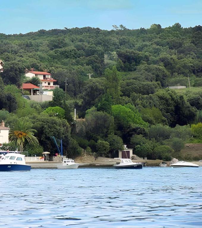 Príroda v okolí apartmánu