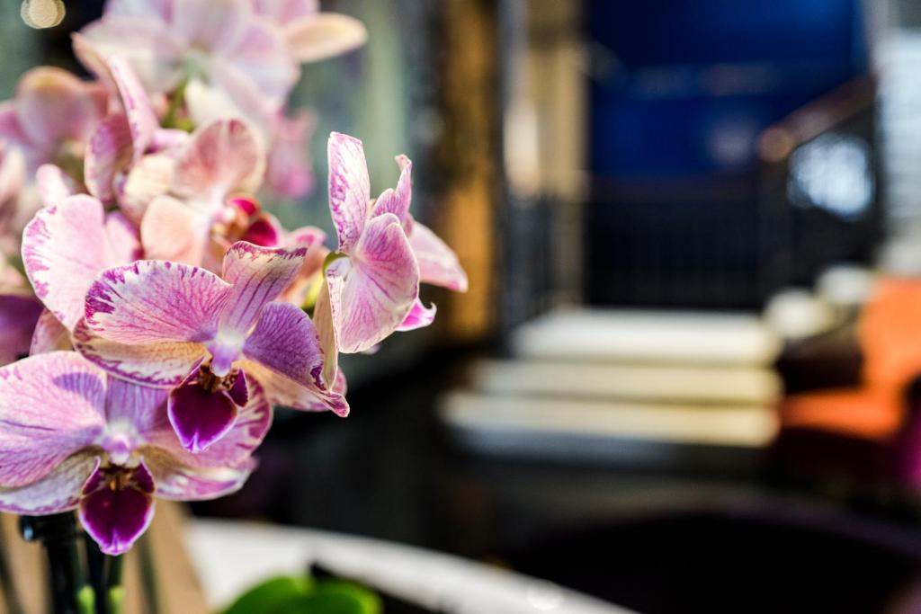 Fotografie z fotogalerie ubytování Hotel Bella Riva v destinaci Gardone Riviera