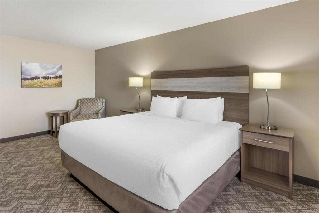 Best Western Plus Great Northern Inn - King Room - Pet-Friendly/Non-Smoking