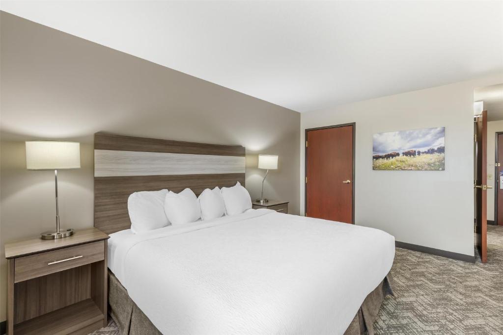 Best Western Plus Great Northern Inn - King Room With Roll-In Shower - Disability Access
