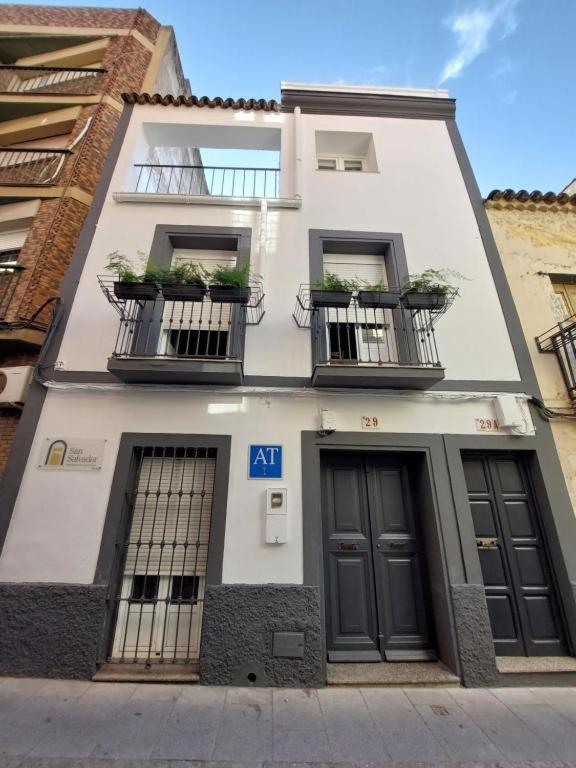 Apartamentos San Salvador Parking Gratis AT-BA-00338 - 18