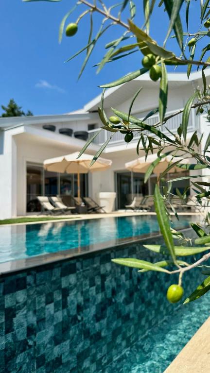 une piscine devant une maison dans l'établissement EHDΞN Biarritz Arbonne, à Arbonne