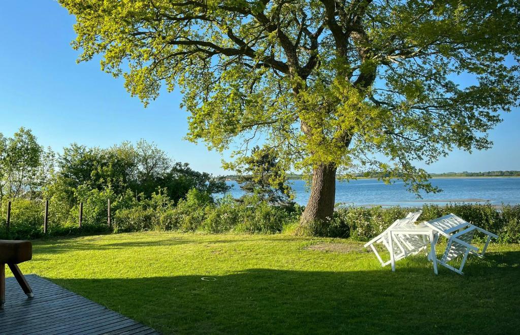 Un banco blanco sentado debajo de un árbol al lado del agua. en Holiday Home With View Of Dalby Bay, en Mesinge