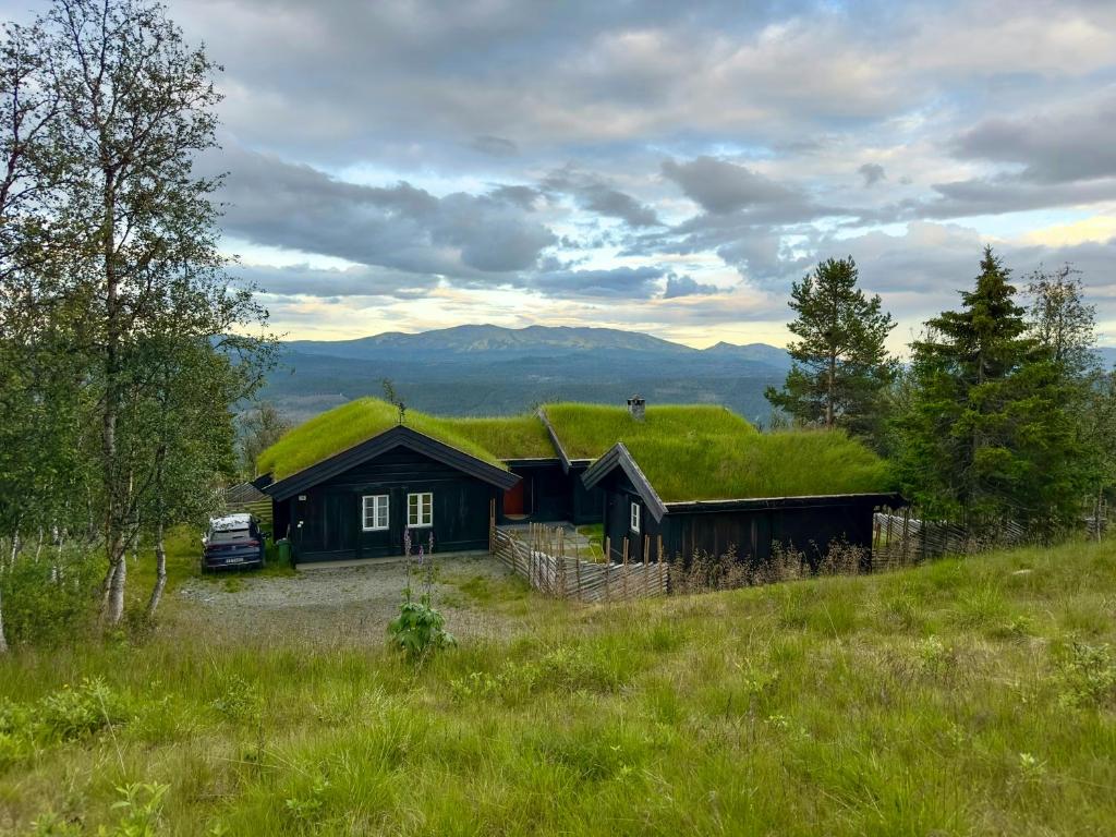 a house with a grass roof on top of a field at Modern Family Cabin Near Jotunheimen in Skåbu