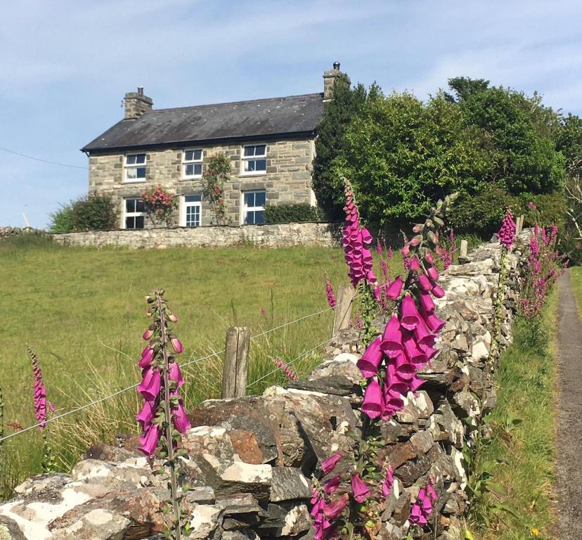 a stone wall in front of a house with pink flowers at Large farmhouse in Snowdonia, North Wales in Talsarnau