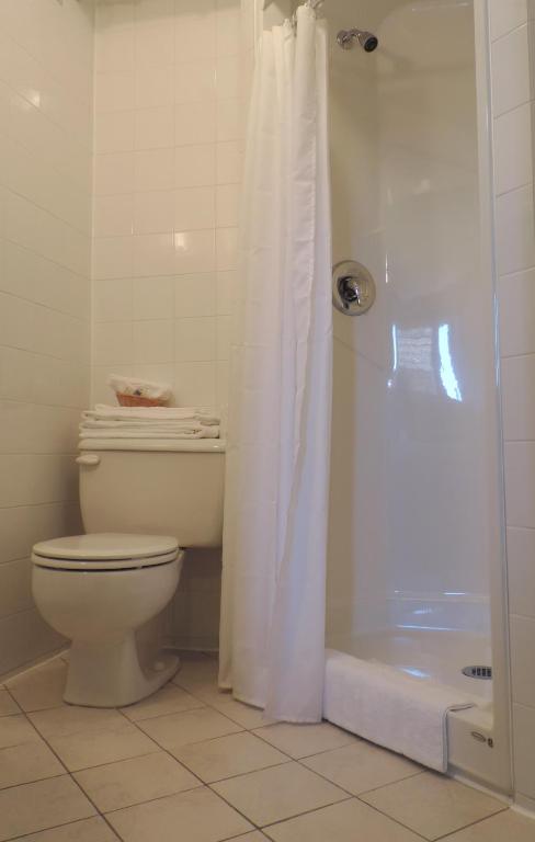 a white bathroom with a toilet and a shower at Auberge Centre Ville in Saguenay