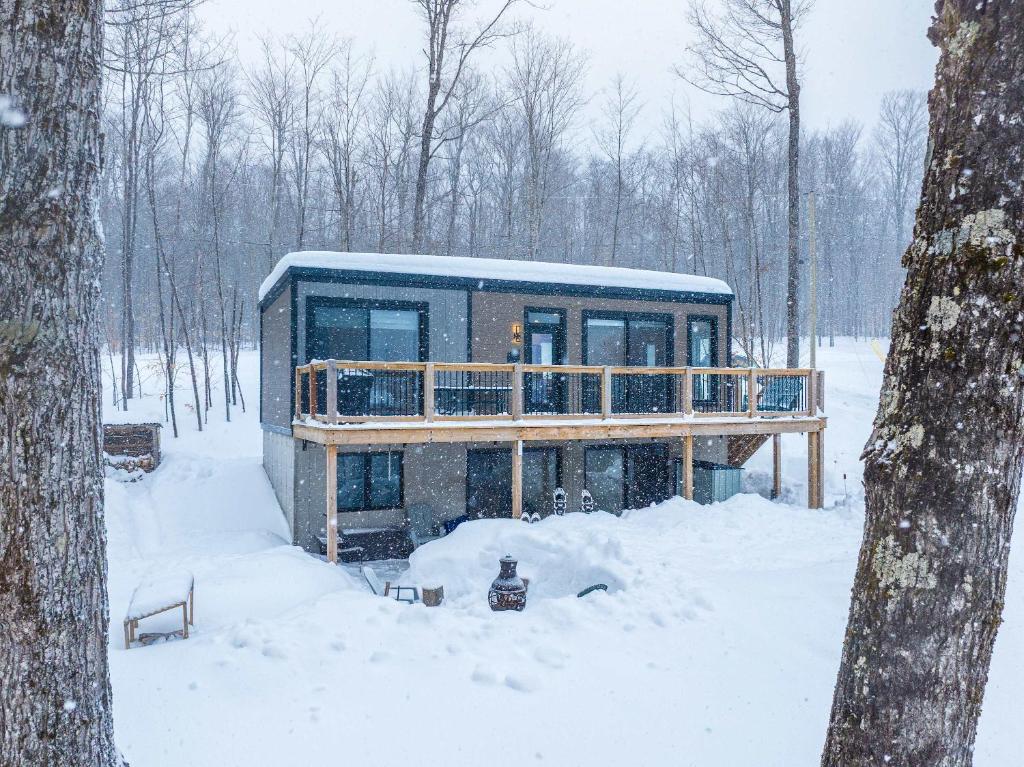 a house in the woods in the snow at Nature Tranquility & Hiking - Chalet FloFie in La Minerve