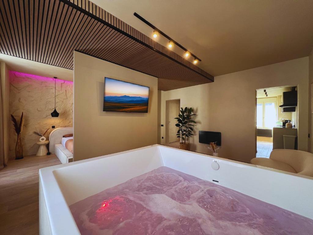 Fotografie z fotogalerie ubytování Harmony Room Suite avec Balnéo v destinaci Angers
