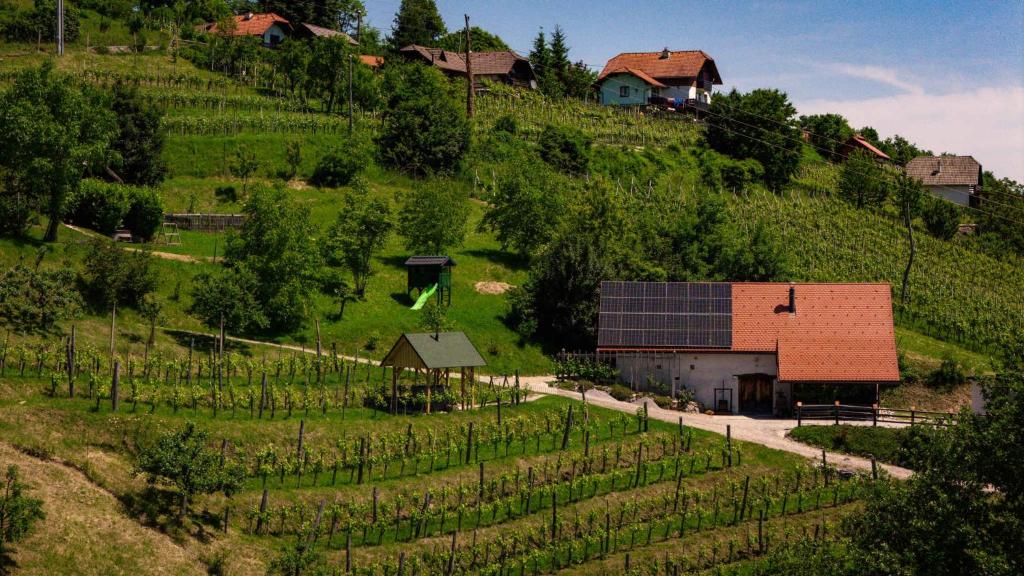 Φωτογραφία από το άλμπουμ του Holiday home in Otocec Kranjska Krain 42907 σε Otočec
