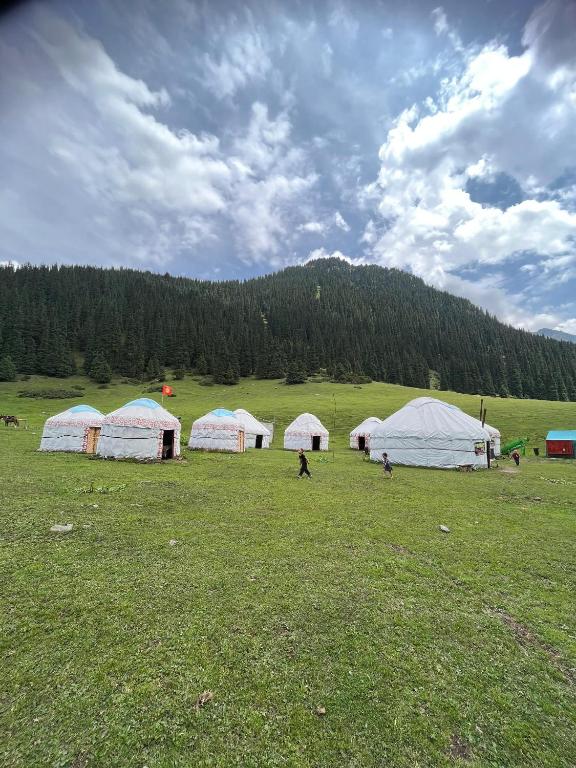 a group of four white tents in a field at Emin Sky Camp in Mineralʼnyy Istochnik Altyn-Arasan