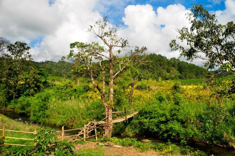 Mong Homestay Resort - 平房与河景
