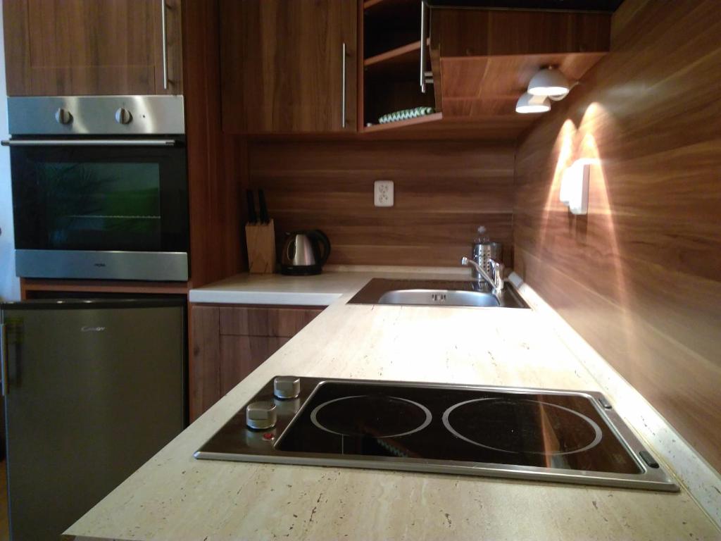 Kuchyň nebo kuchyňský kout v ubytování Apartmán Susice