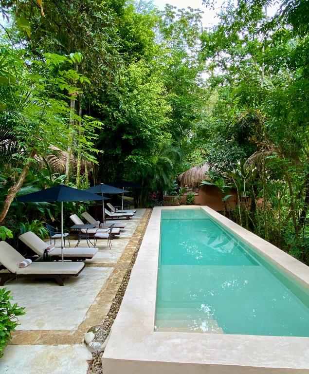 Piedra de Agua Palenque