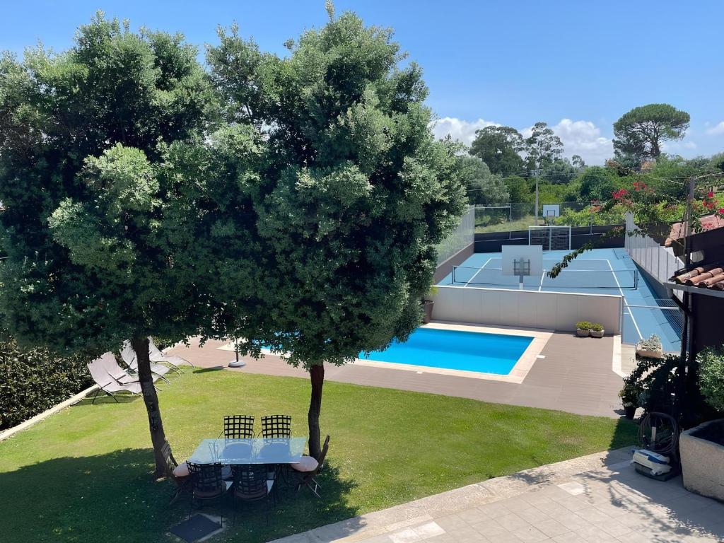 an aerial view of a house with a pool and a tree at Villa dos Amados in Viana do Castelo