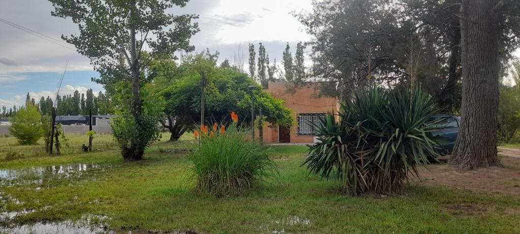 a yard with trees and plants in front of a building at Casa de chacra in Veinticinco de Mayo
