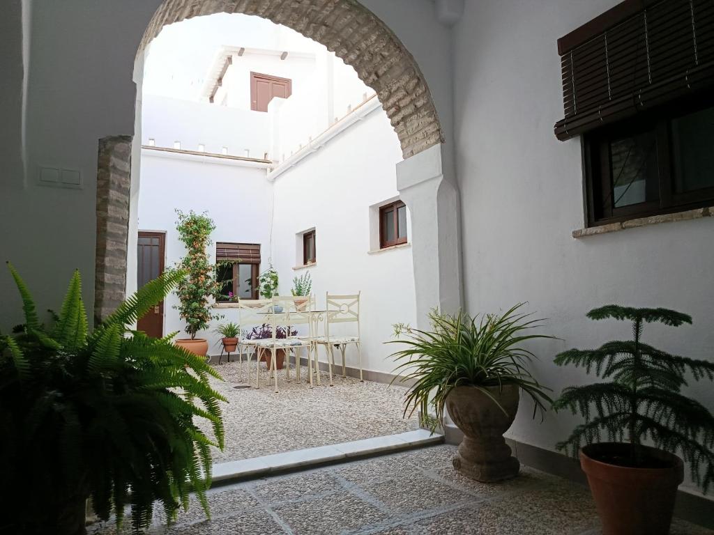 une arche dans un bâtiment avec des plantes dans une cour dans l'établissement Apartamentos Casa Vicario, à Jerez de la Frontera