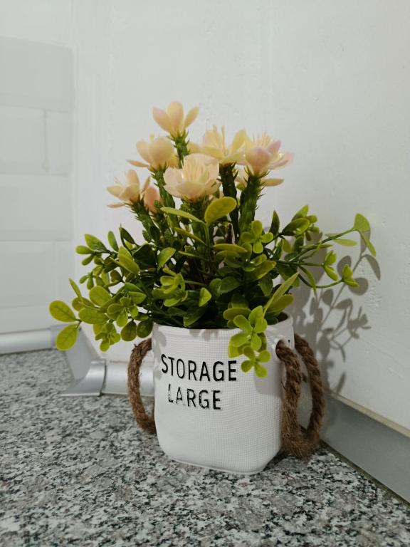 Apartamentos Casa Vicario - 19