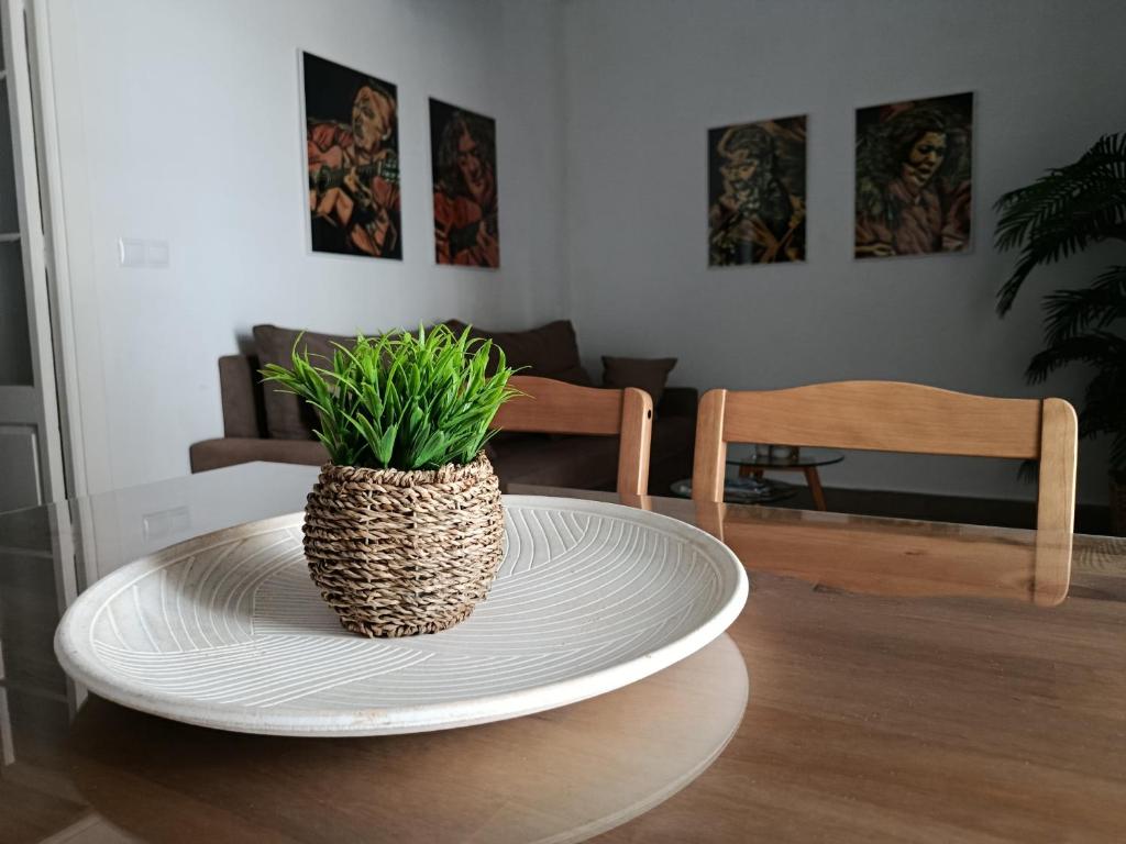 Apartamentos Casa Vicario - 5