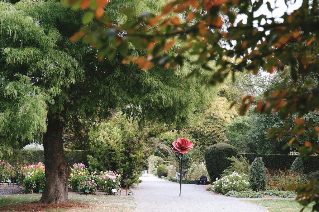 TOWER JUNCTION MOTOR LODGE- MOTEL with Airport and Railway Station Shuttle service- Best Location - close to Westfield Mall, Tower Junction Shopping Centre, Restaurants, Cafes etc - Resim 29